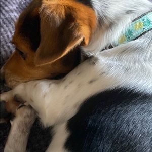 Meet your Posher, Celina